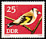 European Goldfinch Carduelis carduelis  1973 Songbirds 