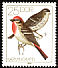 Common Rosefinch Carpodacus erythrinus  1979 Songbirds 