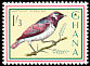 Violet-backed Starling Cinnyricinclus leucogaster  1964 Definitives 8v set