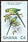 Rose-ringed Parakeet Psittacula krameri  1981 Birds of Ghana 