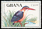 African Pygmy Kingfisher Ispidina picta  1989 Birds 