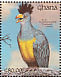 Great Blue Turaco Corythaeola cristata  1991 The birds of Ghana Sheet