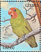 Red-headed Lovebird Agapornis pullarius  1991 The birds of Ghana Sheet