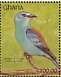 Abyssinian Roller Coracias abyssinicus  1991 The birds of Ghana Sheet