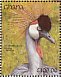 Grey Crowned Crane Balearica regulorum  1991 The birds of Ghana Sheet