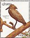 Hamerkop Scopus umbretta  1991 The birds of Ghana Sheet