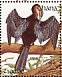 African Darter Anhinga rufa  1991 The birds of Ghana Sheet