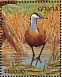 African Jacana Actophilornis africanus  1991 The birds of Ghana Sheet