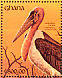 Marabou Stork Leptoptilos crumenifer  1991 The birds of Ghana  MS