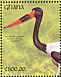 Saddle-billed Stork Ephippiorhynchus senegalensis  1991 The birds of Ghana  MS MS