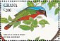 Many-colored Bushshrike Chlorophoneus multicolor  1994 Birds of Ghana Sheet