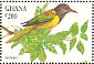 Oriole Warbler Hypergerus atriceps  1994 Birds of Ghana Sheet