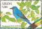 Blue Cuckooshrike Cyanograucalus azureus  1994 Birds of Ghana Sheet