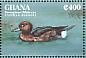 Ferruginous Duck  Aythya nyroca