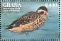Blue-billed Teal Spatula hottentota  1995 Ducks of Africa Sheet
