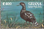 African Black Duck Anas sparsa  1995 Ducks of Africa Sheet