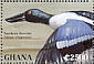 Northern Shoveler Spatula clypeata  1995 Ducks of Africa  MS