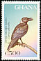 White-necked Raven Corvus albicollis  1997 Birds of Africa 
