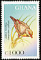 Orange-breasted Waxbill Amandava subflava  1997 Birds of Africa 