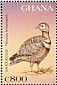 Lichtenstein's Sandgrouse Pterocles lichtensteinii  1997 Birds of Africa Sheet