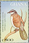 White-browed Coucal Centropus superciliosus  1997 Birds of Africa Sheet