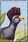 Great Blue Turaco Corythaeola cristata  2000 Fauna and flora of Africa  MS