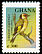 European Goldfinch Carduelis carduelis  2000 Tourism 