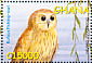 Rufous Fishing Owl Scotopelia ussheri  2002 Birds  MS