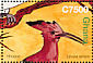 Eurasian Hoopoe Upupa epops  2007 Birds of Africa Sheet