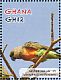 Red-bellied Parrot Poicephalus rufiventris  2012 Parrots of Africa Sheet