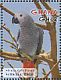 Grey Parrot Psittacus erithacus  2012 Parrots of Africa Sheet