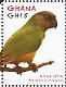Senegal Parrot Poicephalus senegalus  2012 Parrots of Africa  MS