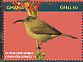 Olive Sunbird Cyanomitra olivacea  2015 Sunbirds of Africa Sheet
