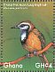 Greater Necklaced Laughingthrush Pterorhinus pectoralis  2017 Colorful birds Sheet