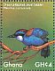 Chestnut-backed Jewel-babbler Ptilorrhoa castanonota  2017 Colorful birds Sheet