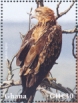 Ghana 2023 Tawny Eagle 