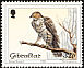 European Honey Buzzard Pernis apivorus  1988 Birds 