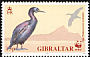 European Shag Gulosus aristotelis  1991 WWF 