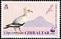 Egyptian Vulture Neophron percnopterus  1991 WWF 