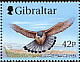 Common Kestrel Falco tinnunculus  1999 Wings of prey 6v set