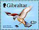 Lesser Kestrel Falco naumanni  1999 Wings of prey Sheet