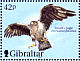 Bonelli's Eagle Aquila fasciata  2000 Wings of prey Sheet