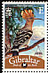 Eurasian Hoopoe Upupa epops  2008 Bird definitives 