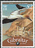 Northern Gannet Morus bassanus  2009 Bird definitives 