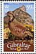 Barbary Partridge Alectoris barbara  2010 Bird definitives 