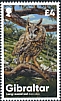 Long-eared Owl Asio otus  2020 Owls 