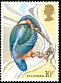 Common Kingfisher Alcedo atthis  1980 Wild bird protection 