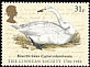 Tundra Swan Cygnus columbianus  1988 The Linnean Society 4v set