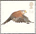 Common Kestrel Falco tinnunculus  2003 Birds of prey Sheet