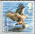 White-tailed Eagle Haliaeetus albicilla  2007 Endangered birds 